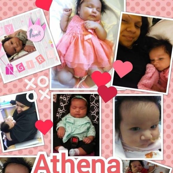 Meet your Posher, Annacila - Picture 1 of 1